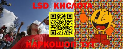 прущие грибы Ставрополь