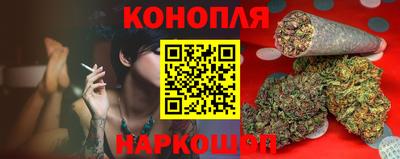 прущие грибы Ставрополь