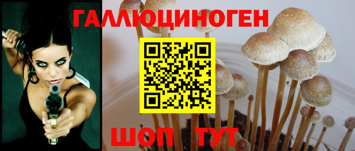 Новокубанск  Галлюциногенные грибы ЛСД  Вход с VPN 